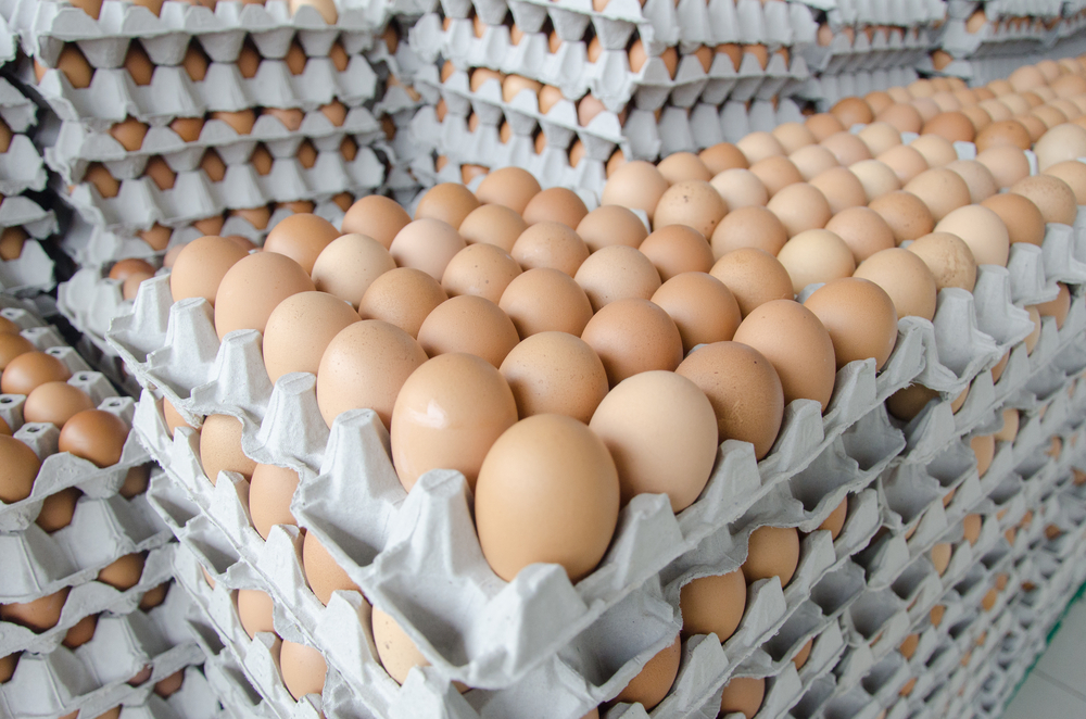 5 Ways Specialty Oils Power Sustainable Packaging